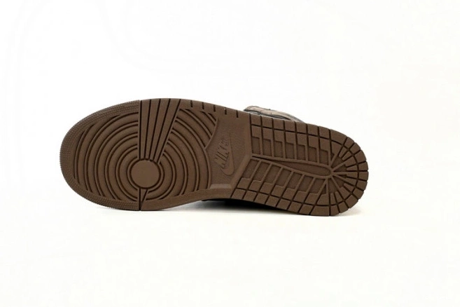 DZ5485-020 1 Jordan Air OG Palomino High 0729